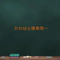 かわはら様専用〜