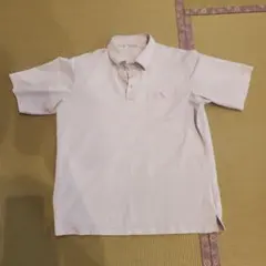 Item thumbnail for item 518a36cc-1af6-4cf8-81e3-c97d357b00a0