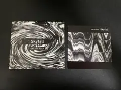 【正規品】ONE OK ROCK Skyfall 会場限定 CD ワンオクロック