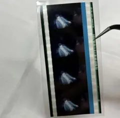 2025年最新】フィルムコマの人気アイテム - メルカリ