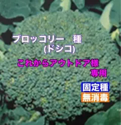 これからアウトドア様専用　３種類セット商品のサムネイル