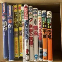 Item thumbnail for item ac0a72ea-c744-4eb0-ad99-447401066fa4