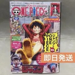 ワンピースマガジン　20号　モンキー・D・ルフィ　付録なし　ワンピース　ONE