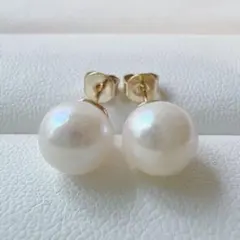1497 訳あり◎ あこや真珠ピアス 本真珠 アコヤ真珠 パール 結婚式