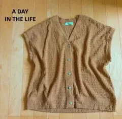 A DAY IN THE LIFE　シャーリング　メタルボタン　カットソー