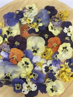 うさぴょん様 リクエスト 2点 まとめ商品