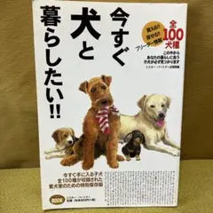 Item thumbnail for item 98f56a2f-2375-4981-ae4f-e6e6bff77750