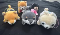 豆柴(犬)のぬいぐるみ5個セット