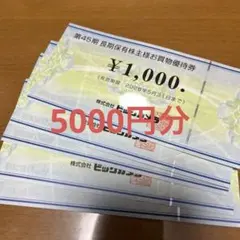 ビックカメラ　株主優待5000円分