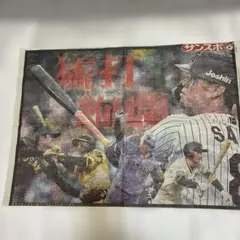 野球応援新聞 A3サイズ フルカラー