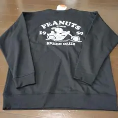 Item thumbnail for item 21bdc472-f7c8-46e2-a5b4-5861797412f7