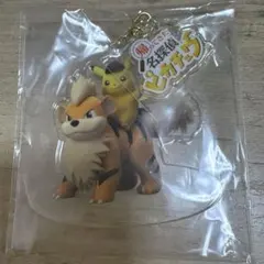 ガーディ&ピカチュウ帰ってきた 名探偵ピカチュウアクリルキーホルダーコレクション