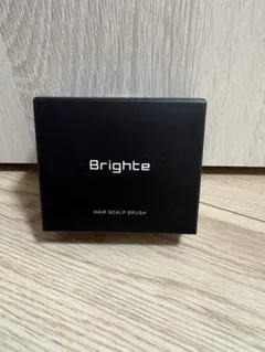 2026年最新】Brighte スカルプブラシ・シャンプーブラシの人気アイテム