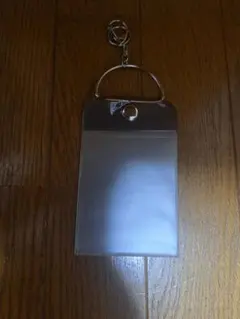 Item thumbnail for item c2802ff6-95de-4334-86c9-6d477cfcf1b4