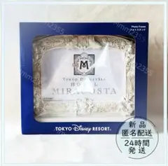 クッション】 ディズニー 25周年 ホテルミラコスタ 新品タグ付き 