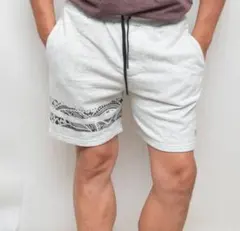 23年 ハーレー HURLEY TERRY ショート パンツ ハーフ ショーツのサムネイル