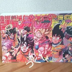 美品】ドラゴンボール 相関図ポスター - メルカリ