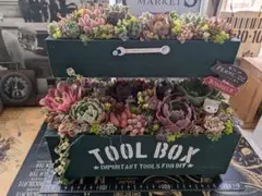 ゆ*◍様 多肉植物 そのまま飾れる寄せ植え わんちゃん＆ネコさんの春の多肉畑✩.