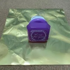 Item thumbnail for item aea5c782-797c-4de4-88dc-ba802f9f4cd2