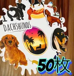 Item thumbnail for item f870f229-4c14-49ed-a090-cdce9b235efc