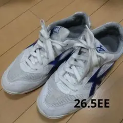 Item thumbnail for item 12a4f20e-7c4e-4e17-9c49-6349d0d75394