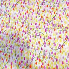 生地(ハギレ) isso ecco 綿麻 SHIZUKU ICHIGO