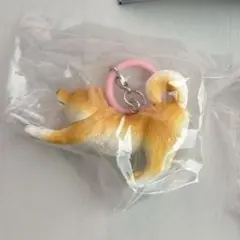 【専用】ももペンの姉様 タカラトミーアーツ のびズム めじるしガチャマスコット