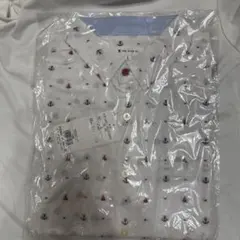 Item thumbnail for item 22b9345f-46be-4918-9531-71a9ed0f136a