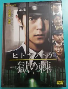 2026年最新】連続ドラマW ヒトヤノトゲ ~獄の棘~ [DVD]の人気アイテム