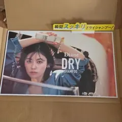 小芝風花 Diane ダイアン パネルのサムネイル