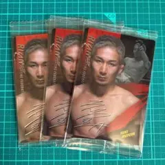 【新品未開封】RIZINウエハース'25 No.31 元谷友貴