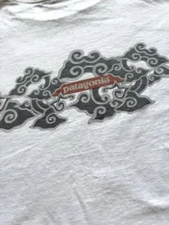 Patagonia Tシャツ USA Beneficial T's