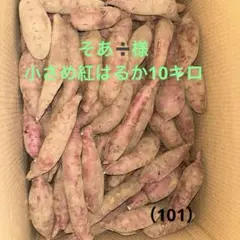 そあ➗様小さめ紅はるか10キロ（101）