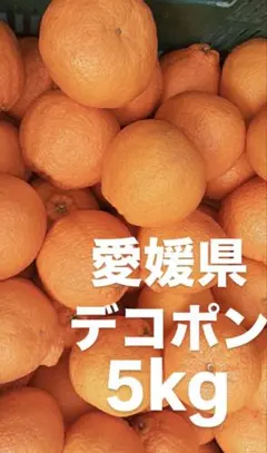 愛媛県　デコポン　柑橘　5kgのサムネイル