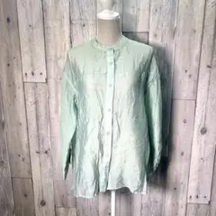 w closet ダブルクローゼット(F)ミントグリーン 長袖シャツ シースルー