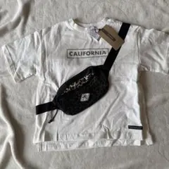 Item thumbnail for item cea611e4-2a5a-46fa-bdea-fb6bf4518550