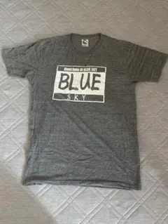 Item thumbnail for item f1a08cb9-0341-499f-a428-6054b5ad52db