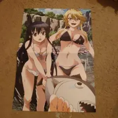 アカメが斬る！　ポスター#♡⑰　水着姿