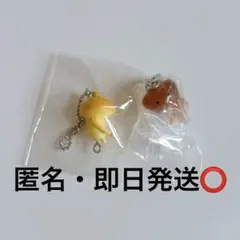 なめこ栽培　めじるしアクセサリー 黄なめこ　ななめこ