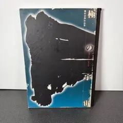 稲村雲洞作品集 極の宇宙 瞬発の集中 持続の止観 書道 書作品 図録