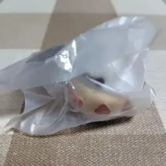 ガチャ　ディズニーキャラクター　Nuiパン　ミニチュアキーチェーン