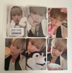 &TEAM 雪明かり ハルア トレカ6点セット