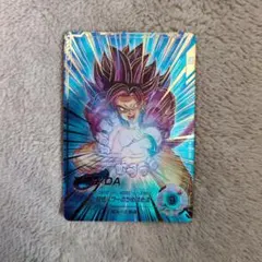 SDV5-055 パラレル　孫悟空DA