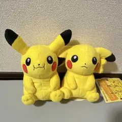 【最終値下げ】マイピカチュウ ぬいぐるみのサムネイル