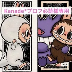 ⚠︎︎Kanade*プロフ必読様専用ページ⚠︎︎