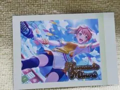 プロセカぱしゃこれ