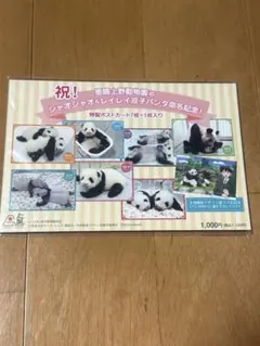 上野動物園 シャオシャオ レイレイ ポストカードセットのサムネイル