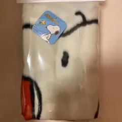 Item thumbnail for item 20e7b993-735a-48d0-a6a8-73e6dc0c81d9