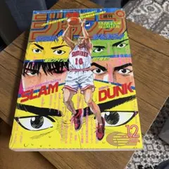週刊少年ジャンプ 1993年 11号 スラムダンク表紙 幽☆遊☆白書:巻頭