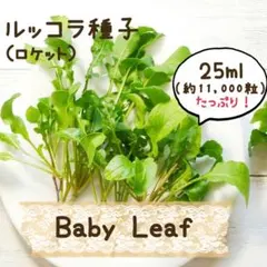 めりゆり様 リクエスト 2点 まとめ商品